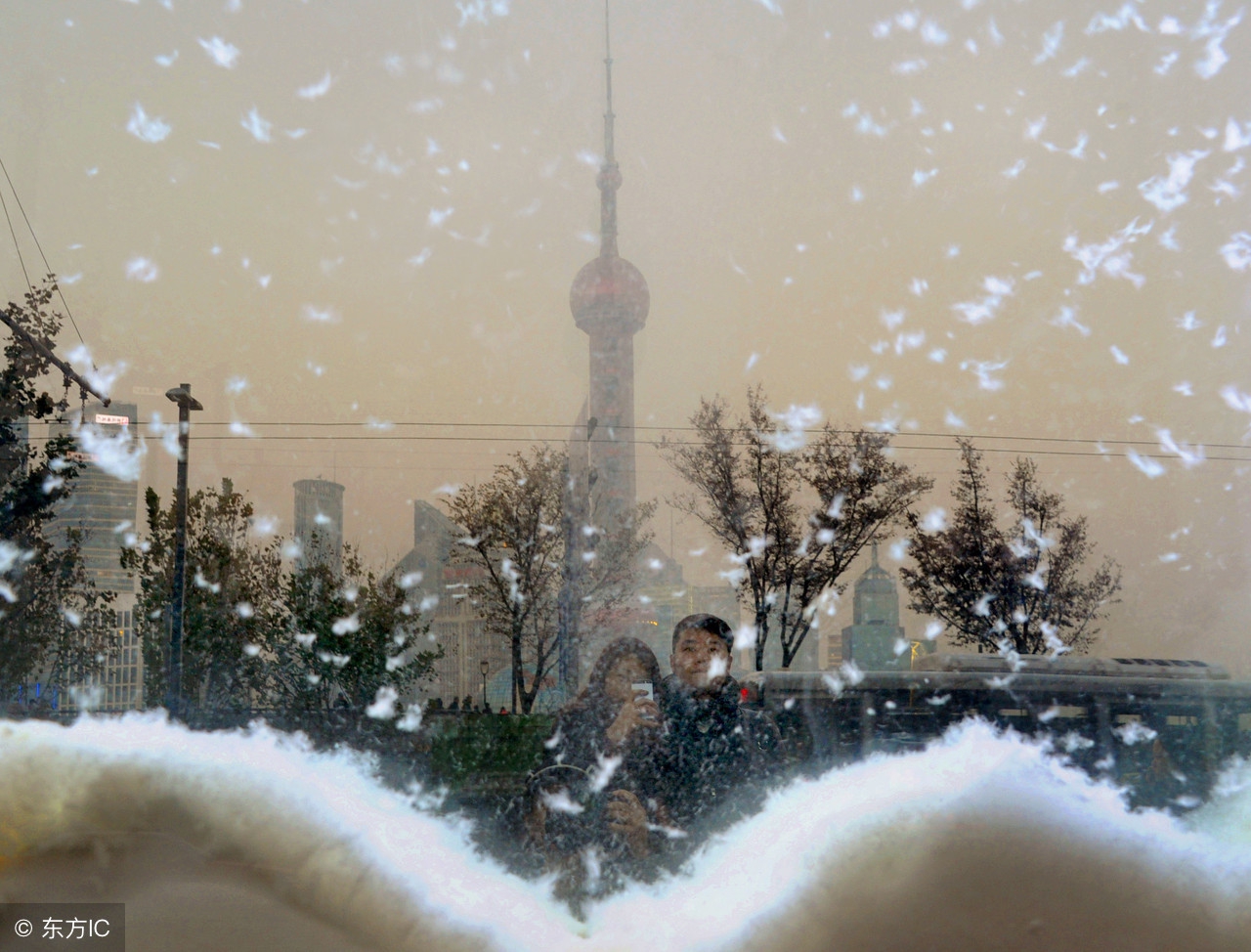 盛放雪花，倾心香约（转载）