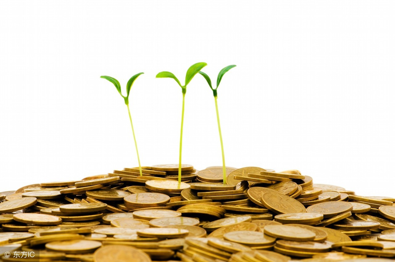 兔肉养殖难点有哪些,兔肉养殖