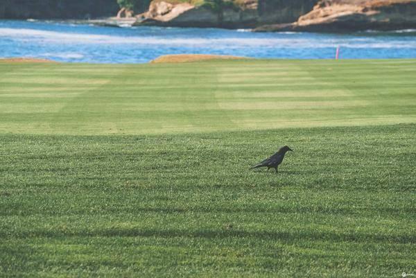 美西6000里:一趟旅行,女友成了前女友