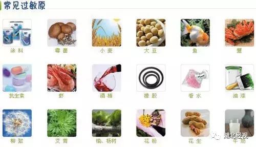 过敏高发季,过敏儿童注意什么