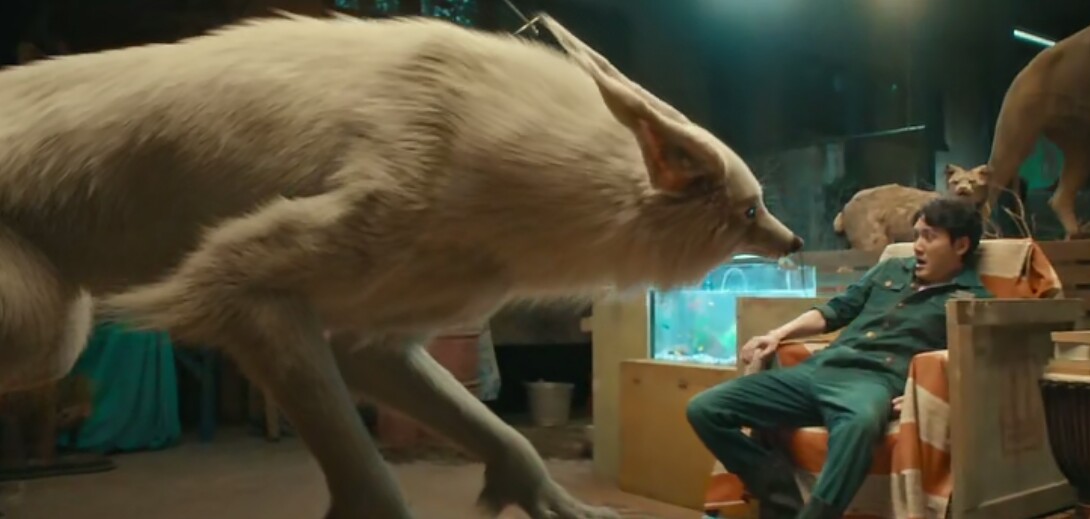 彼得兔值得看吗,彼得兔和狼行者哪个好看