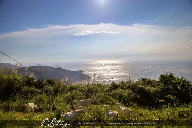 浙江小渔村旅游攻略,隐藏在杭州的江南秘境