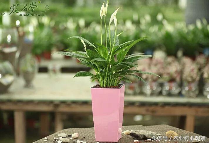 90后小伙摆摊赚7万,90后小伙做社交电商3个月真的赚钱