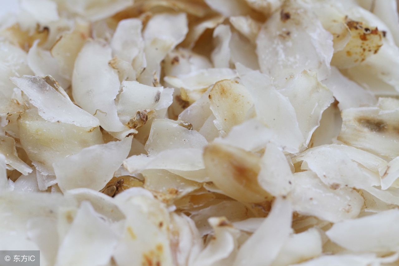 百合病为什么叫百合病,百合病讲解