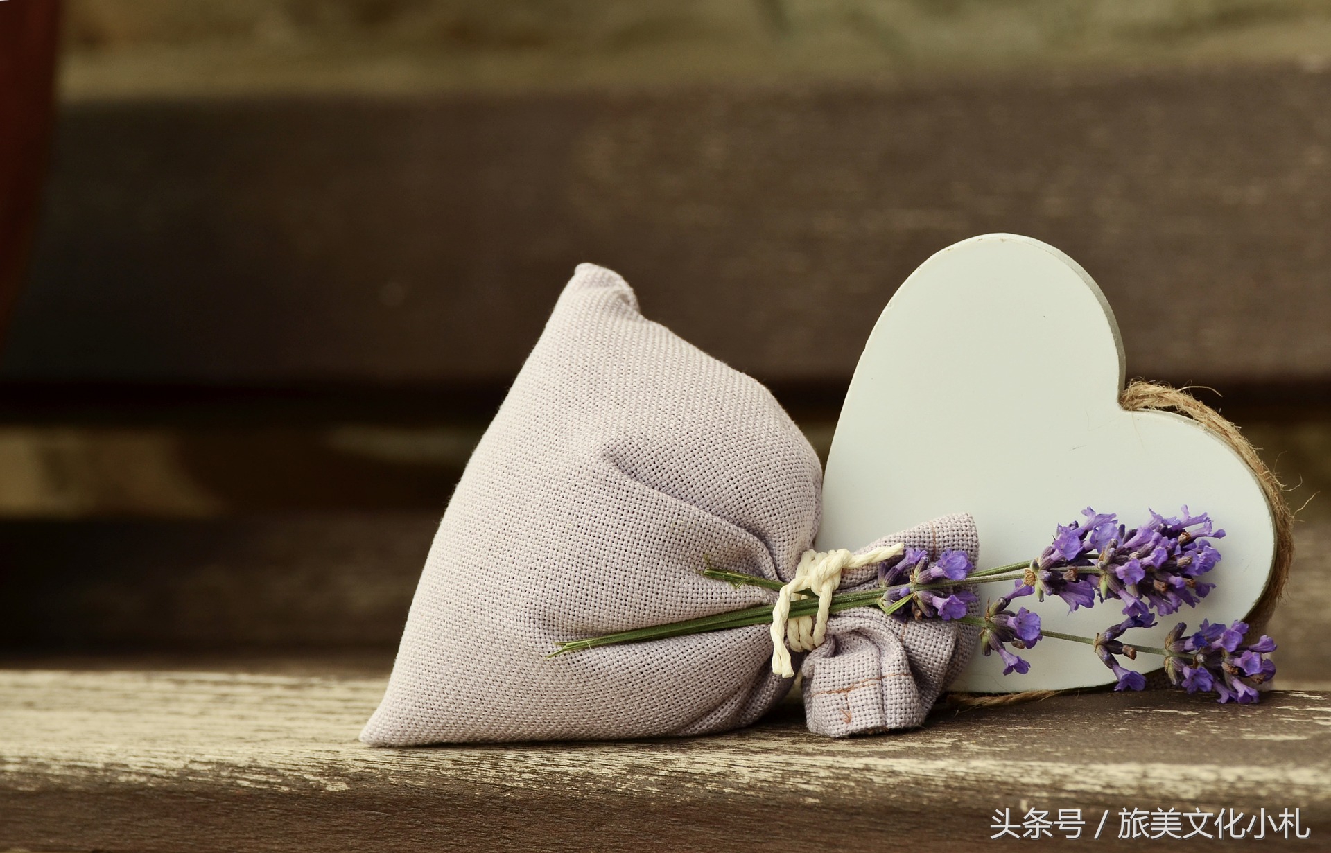 薰衣草花语代表爱情,衣草的花语是等待幸福