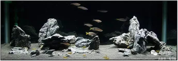 关于水族方面的科普,关于计量单位的科普视频