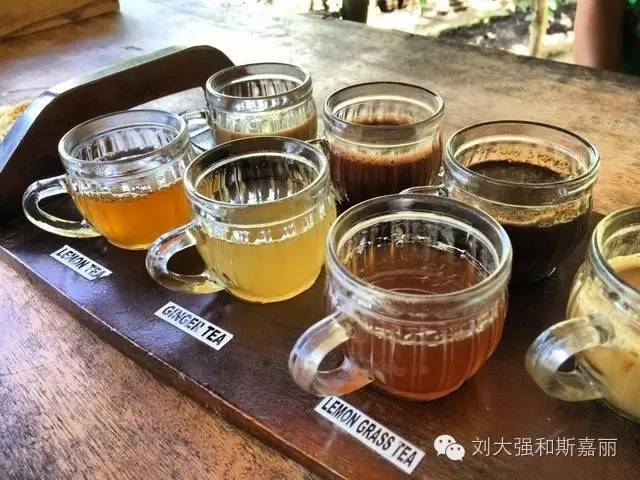 不去扎堆请到深山走走,巴厘岛正确的打开方式