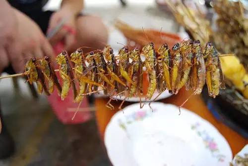 广西10大奇葩菜,广西特色暗黑料理