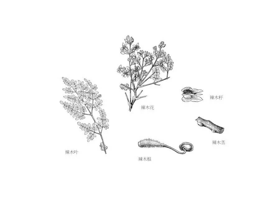 传统与现代碰撞与融合,传统和现代生活方式