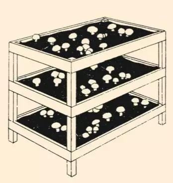 全球概览，怎样带人们通往“想去的地方”