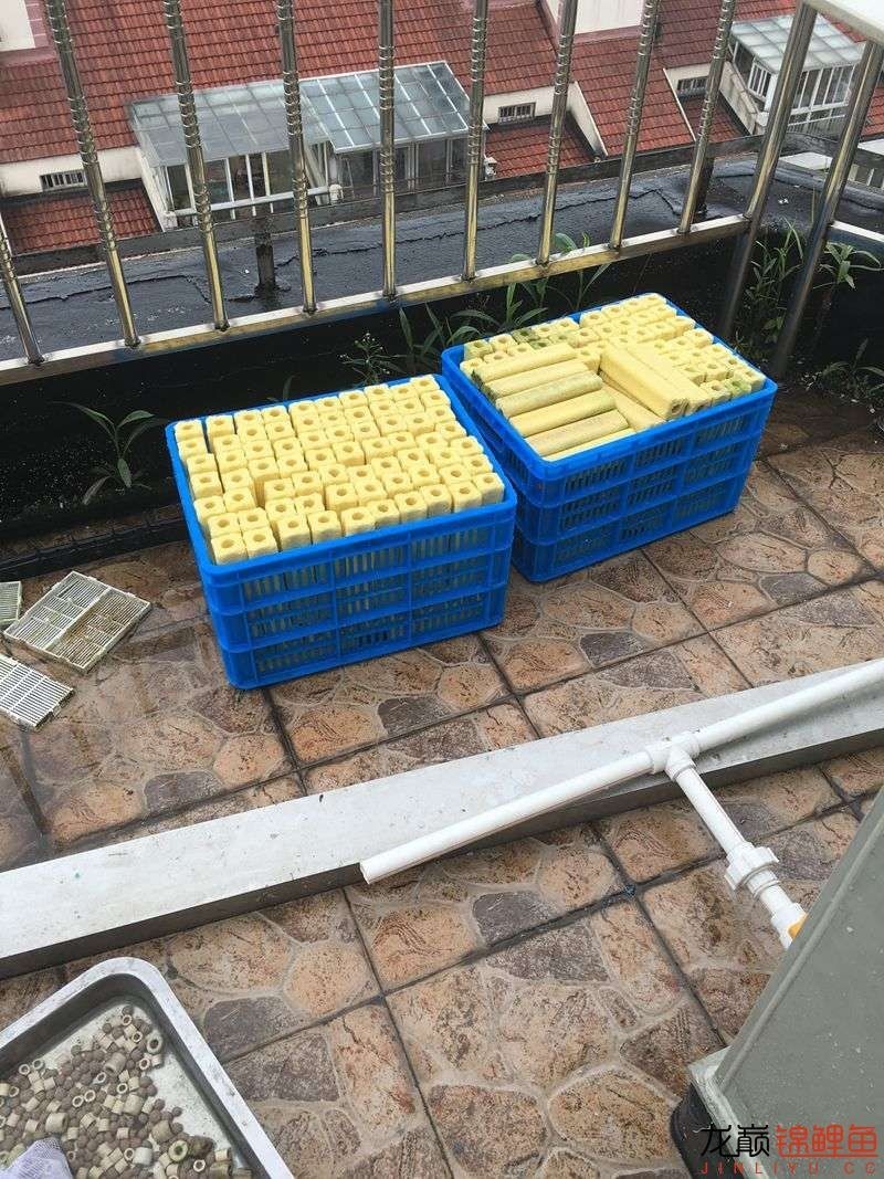 pp塑料锦鲤池,pp板材焊锦鲤池