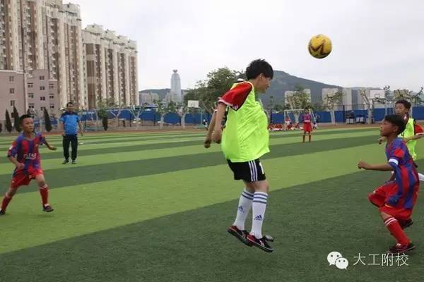 甯堟牎瓒崇悆鐩存挱,鏁欒偛瀛﹂櫌瓒崇悆鐩存挱