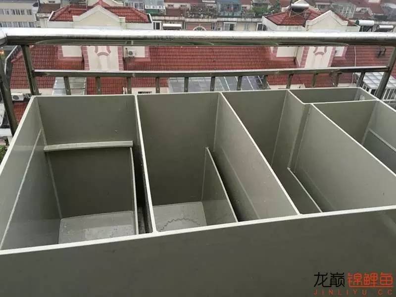 pp塑料锦鲤池,pp板材焊锦鲤池