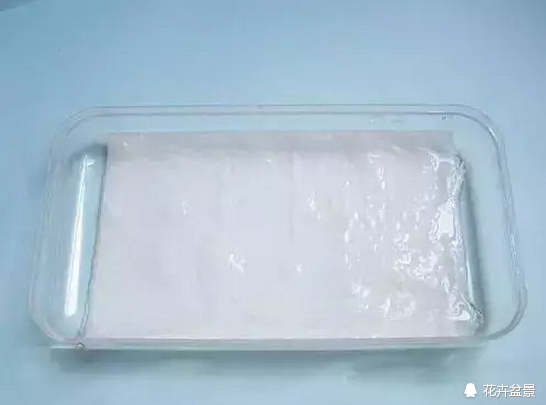 花种催芽方法有哪些呢,各种花种催芽方法