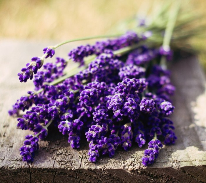 孩子被蚊子叮咬留下黑斑怎么消除,孩子一到夏天就容易被蚊虫叮咬