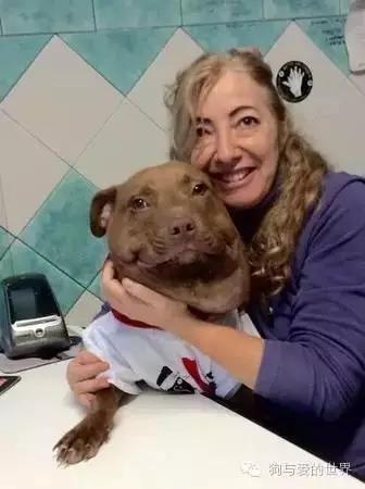 PO!闻主人臭脚狗狗转头作呕外国情侣办婚礼请1000只喵星