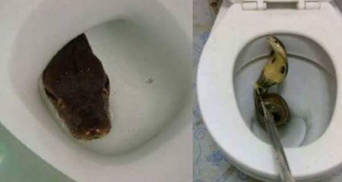 泰国当地民众居然这样上厕所？！