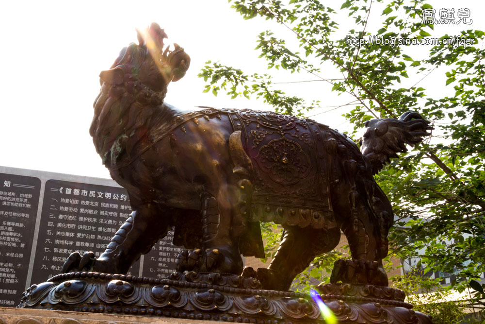 ​[凤麒儿]北京动物园——与动物的亲密接触