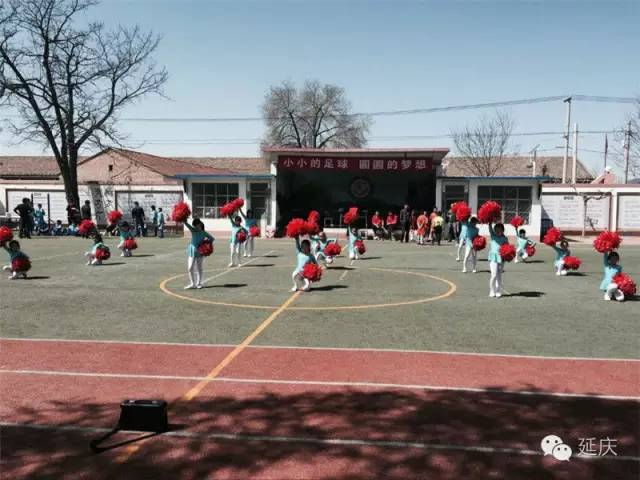 延庆区第十九届校园足球联赛,延庆区2024足球赛高中