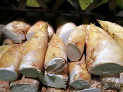 春天怎么能不吃一次新鲜的春笋呢,春笋什么季节能吃