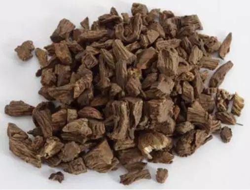 续断治疗骨伤的功效与作用,骨碎补续断当归治骨伤