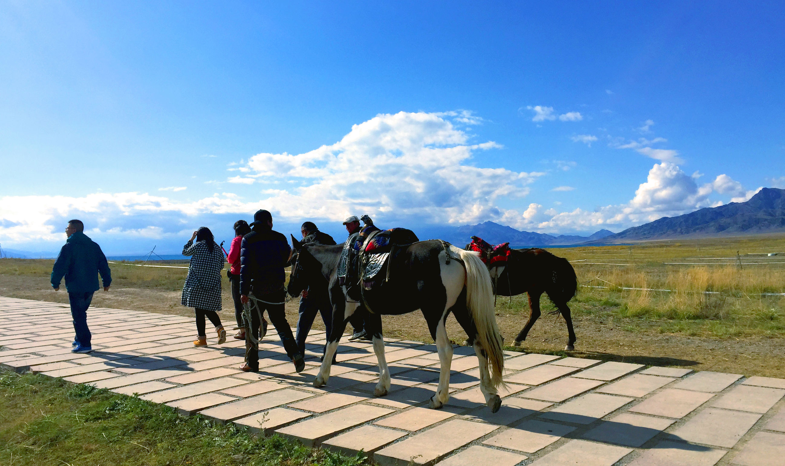 新疆伊犁14天旅行攻略,8天伊犁之旅