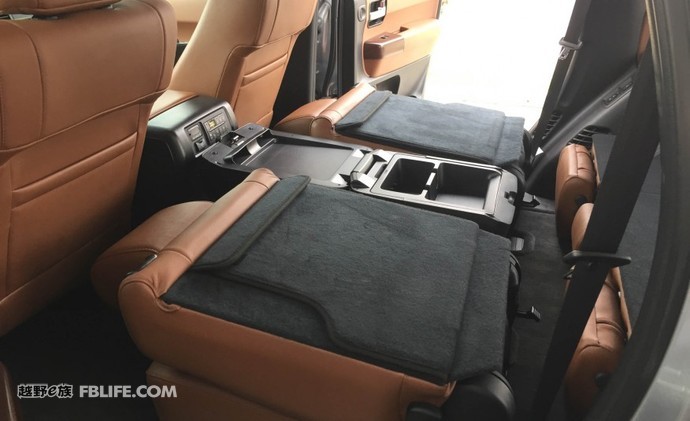 被遗忘的巨兽,被遗忘的远古巨兽