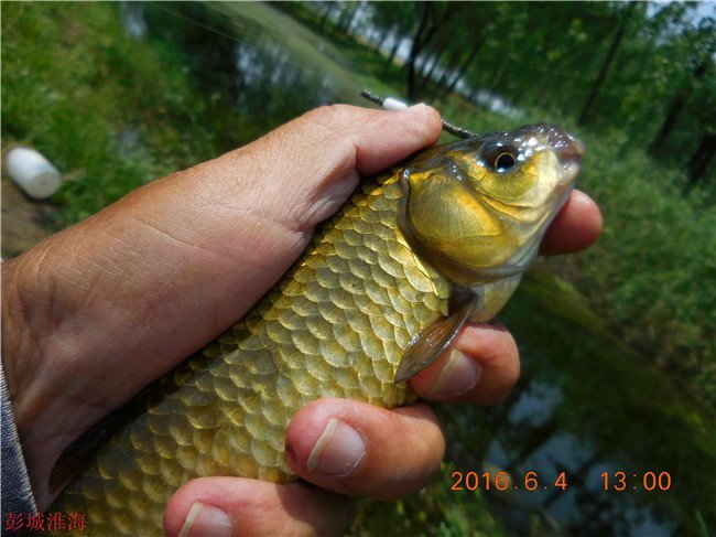 徐州钓鱼地方推荐野钓,徐州野钓地点推荐云龙