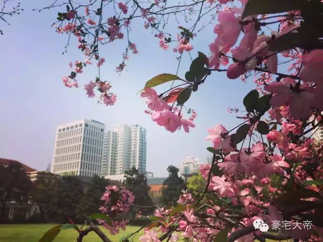 那些你路过却不曾进去过的法租界豪宅｜豪宅大帝独家毒辣点评