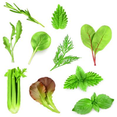 房颤病人不吃华法林,房颤患者服用华法林inr值多少合适