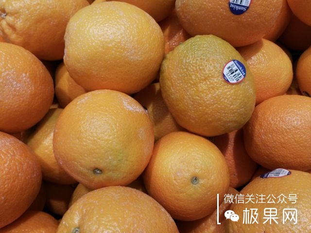 翻转吧摄像头,前后都能照出完美的照片:荣耀7i体验