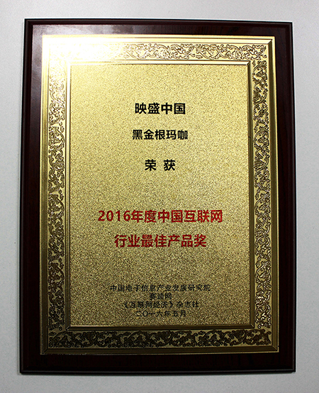 映盛中国公司怎么样,映盛中国排中国第几