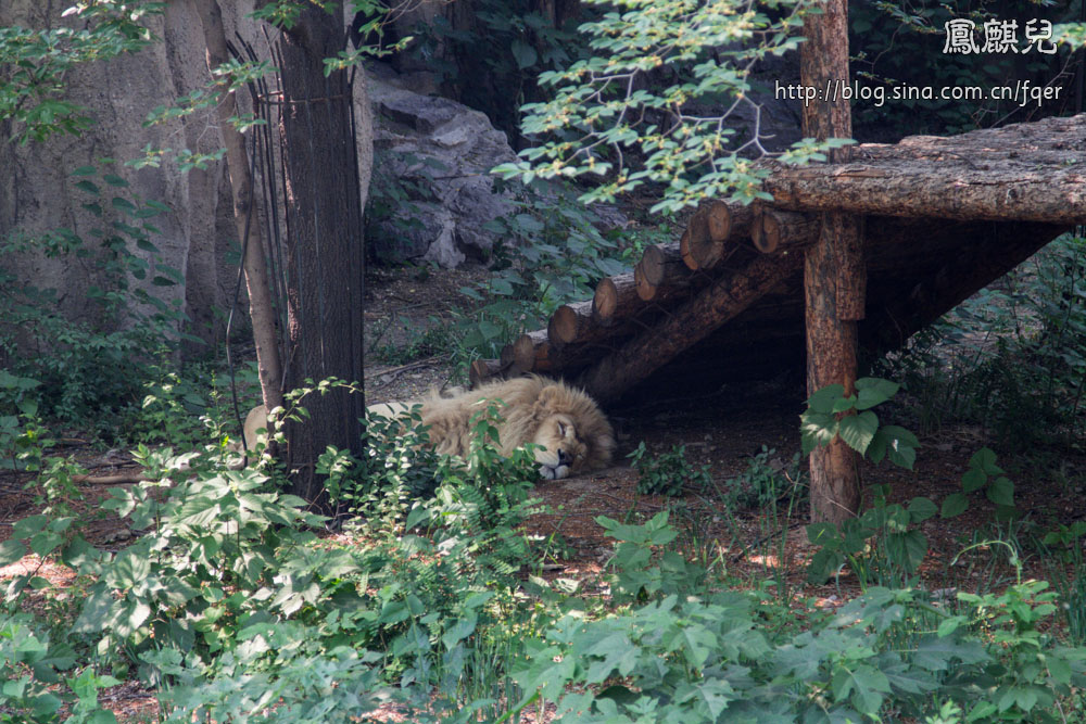 ​[凤麒儿]北京动物园——与动物的亲密接触