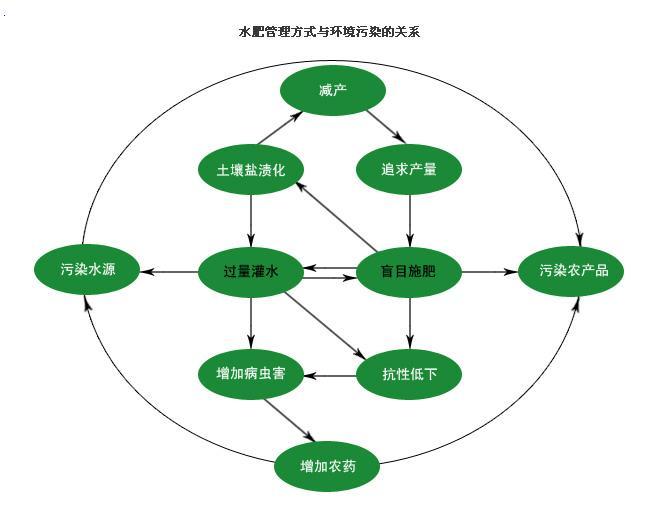 自制大蒜叶面肥的最佳配方,目前最好的小麦叶面肥配方