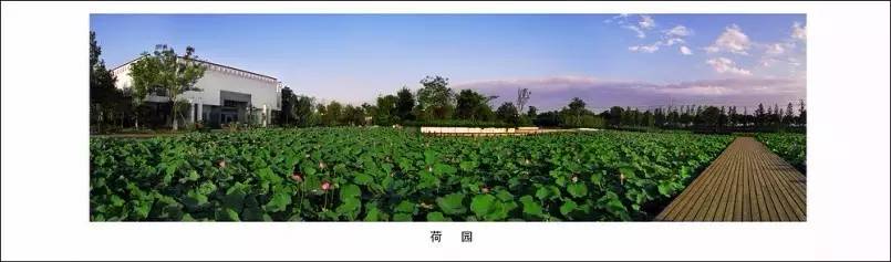 常州市环境和经济条件怎么样,常州环境怎么样