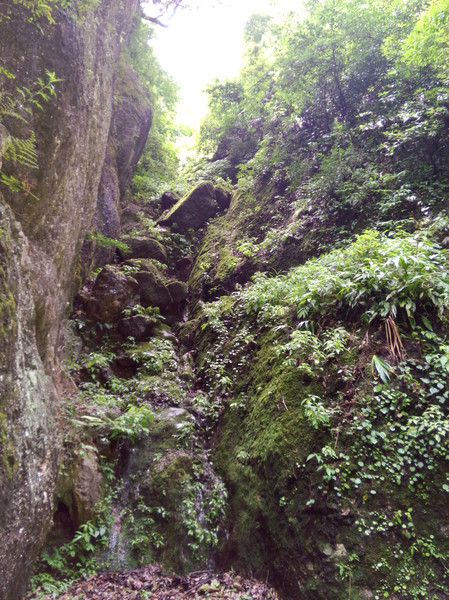 成都大邑龙窝子,大邑龙窝子农家乐自助烧烤