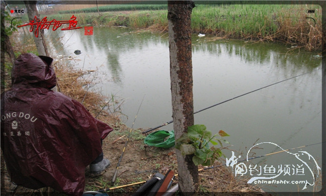风雨无阻之我爱飞鱼去‘*欢寻**’！