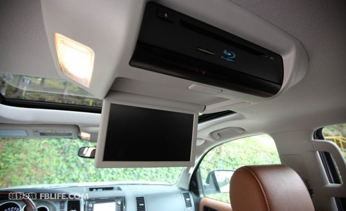 被遗忘的巨兽,被遗忘的远古巨兽