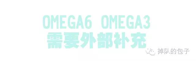 迷之月见草——那些代购不会告诉你的月见草知识全科普