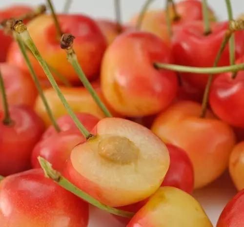 如何挑选樱桃最好,最标准的樱桃口感是什么