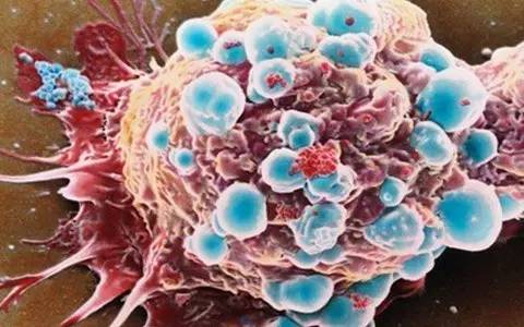 细胞治疗最佳方案,细胞进化史