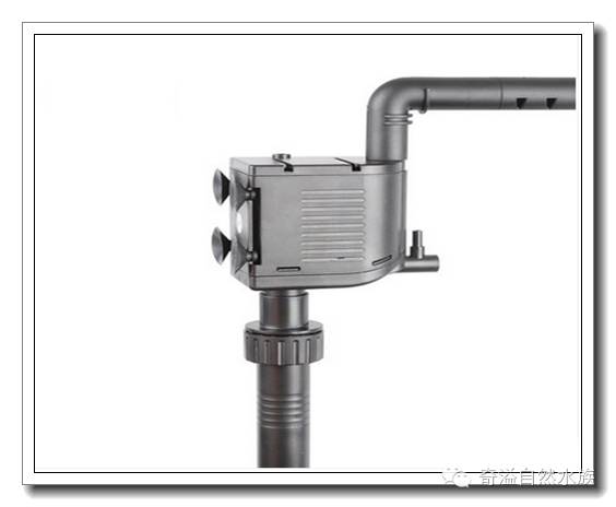 水族新手养鱼攻略,鱼缸养鱼攻略新手必备