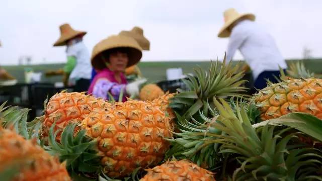 广东卫视出品的纪录片好评不断,再获三个国家级嘉奖!