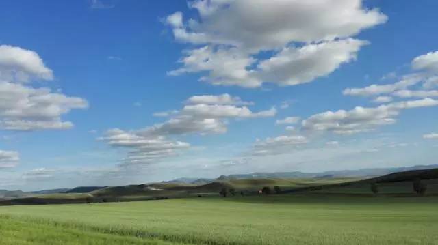 丰宁坝上植树,我去植树