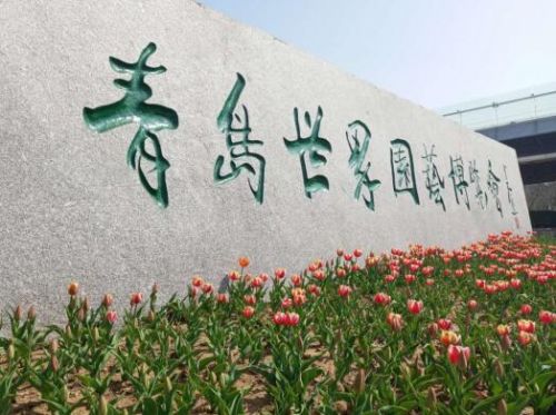 青岛清明节赏花去处,青岛赏花好地方清明节