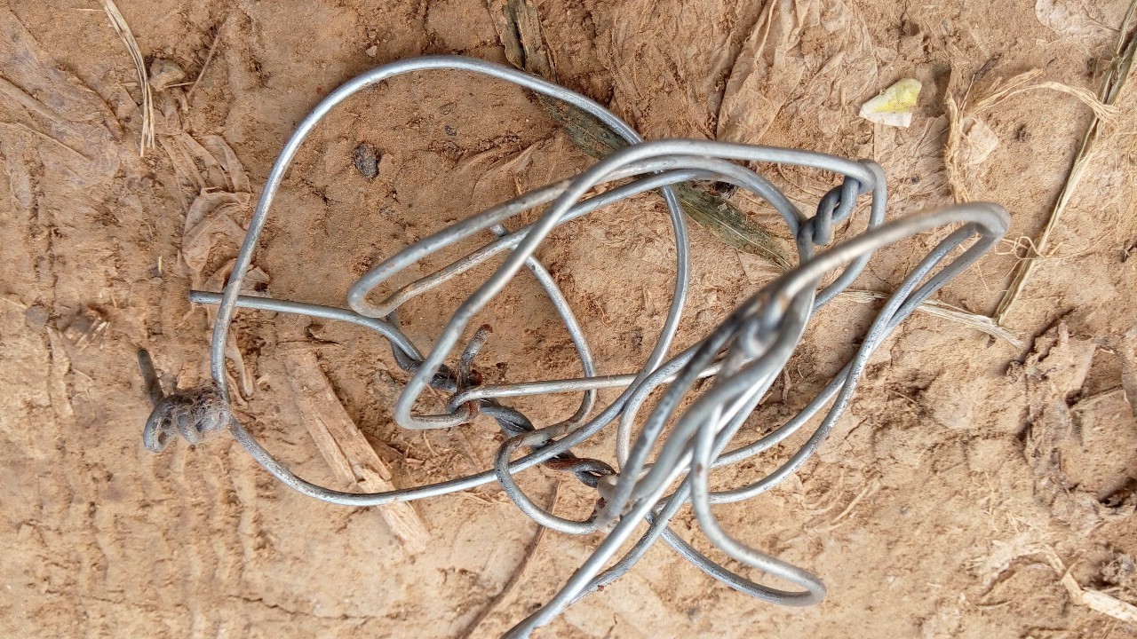 电脑里偷菜的游戏玩过的来集合,真实的偷菜游戏