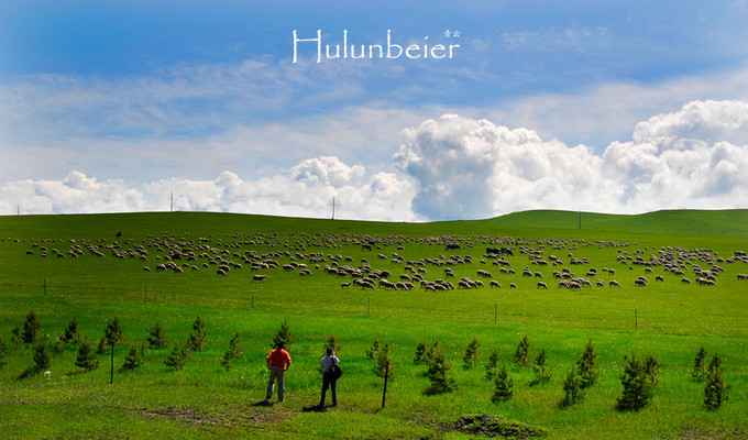 呼伦贝尔拍照攻略,呼伦贝尔美景拍照