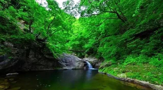 这个端午节要这样玩，千万别错过了！