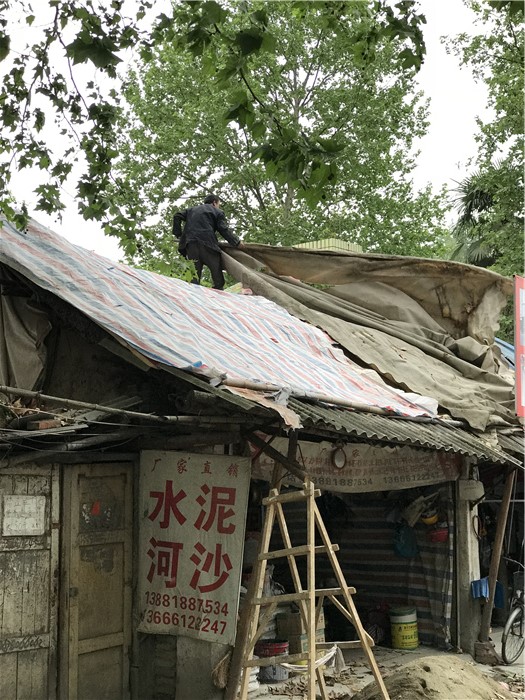乱逛|曾经我总是跟着大人赶犀浦