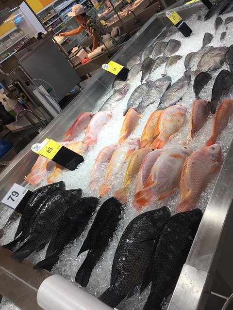 甯︾潃鐗涢瓟鐜嬬湅鏄熸槦,甯︾潃鐗涢瓟鐜嬪嚭鏉ョ湅涓婂笣